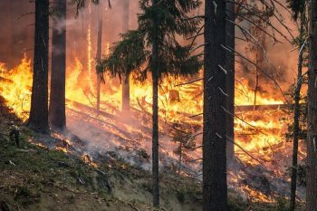 Operations Centers Activate to Combat Wildfires